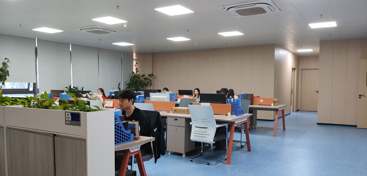 China Chips Star Semiconductor Co., Ltd.